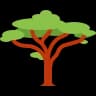 Large Enterprises
